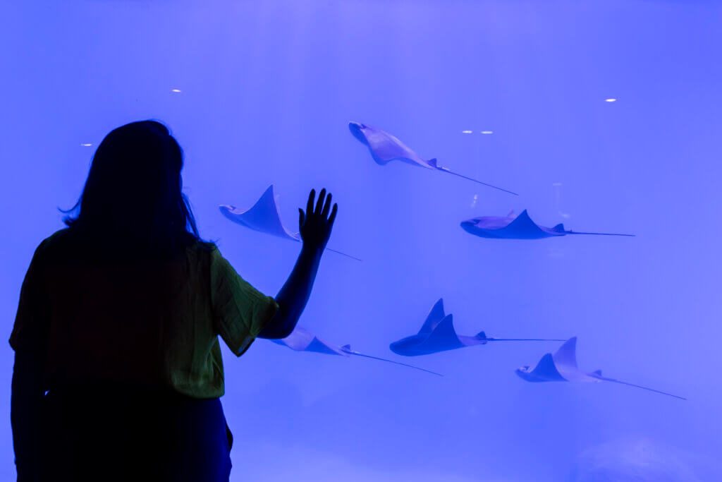 AquaFoz 200 mil visitantes